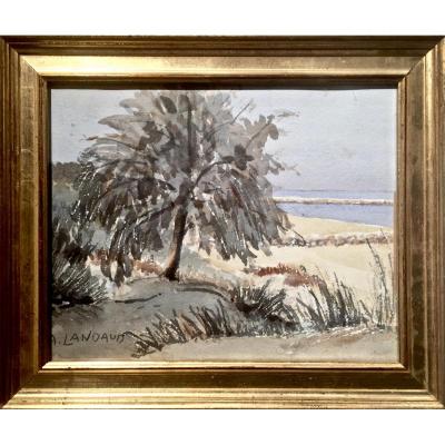 The Grau Du Roi - l'Espiguette - The 60's - André Landaud