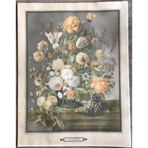 Joseph Nigg (1782-1863) - Still Life - Lithograph
