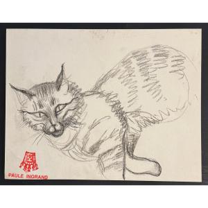 Paule And Max Ingrand - Drawing Of The Cat Salomé