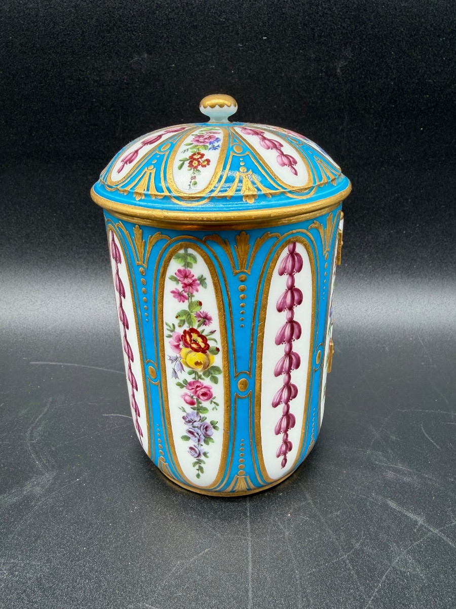 Barattolo per tabacco con coperchio, fondo blu celeste, Sèvres, 1768 circa-photo-5