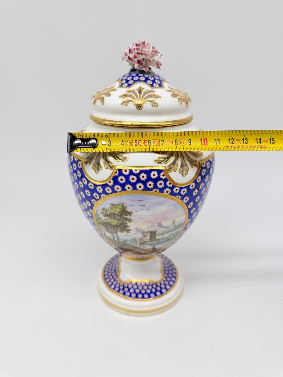 Porcellana di Sèvres «Beau Bleu» «Œil-de-perdrix», pot-pourri, The Wallace Collection-photo-2