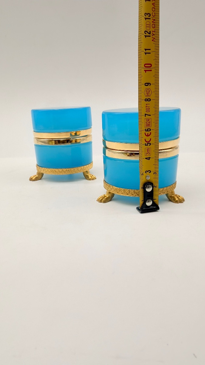 Coppia di scatole rotonde in vetro opalino francese poggianti su piedini a forma di leoni-photo-1