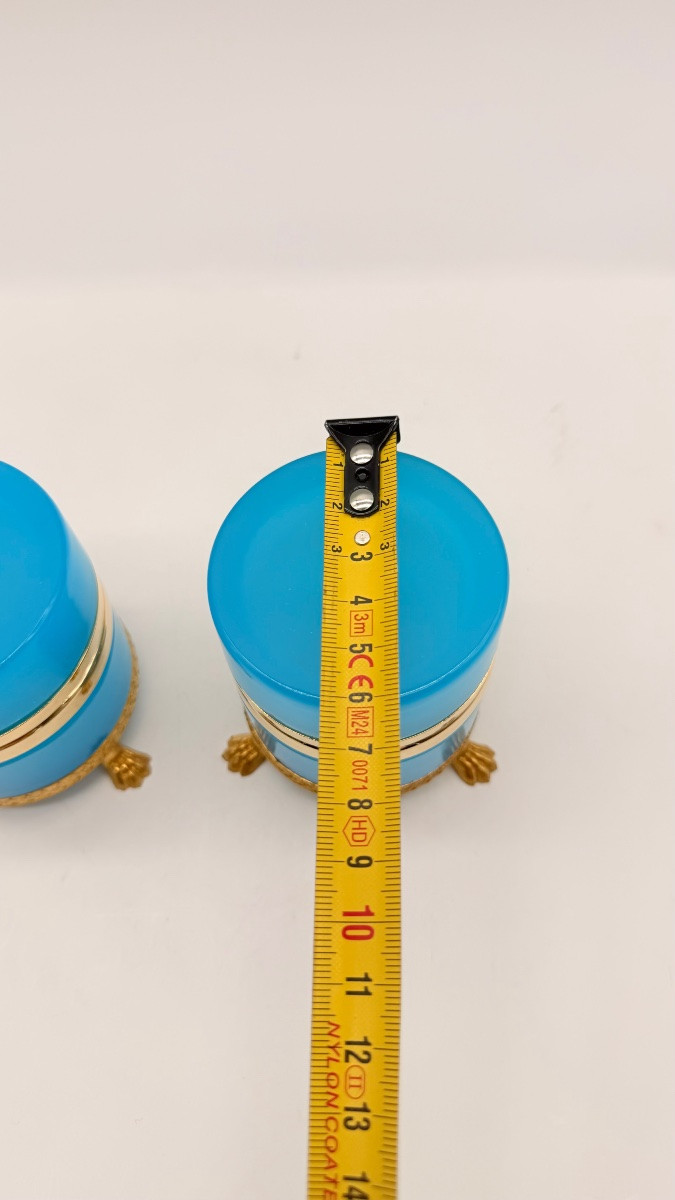 Coppia di scatole rotonde in vetro opalino francese poggianti su piedini a forma di leoni-photo-2