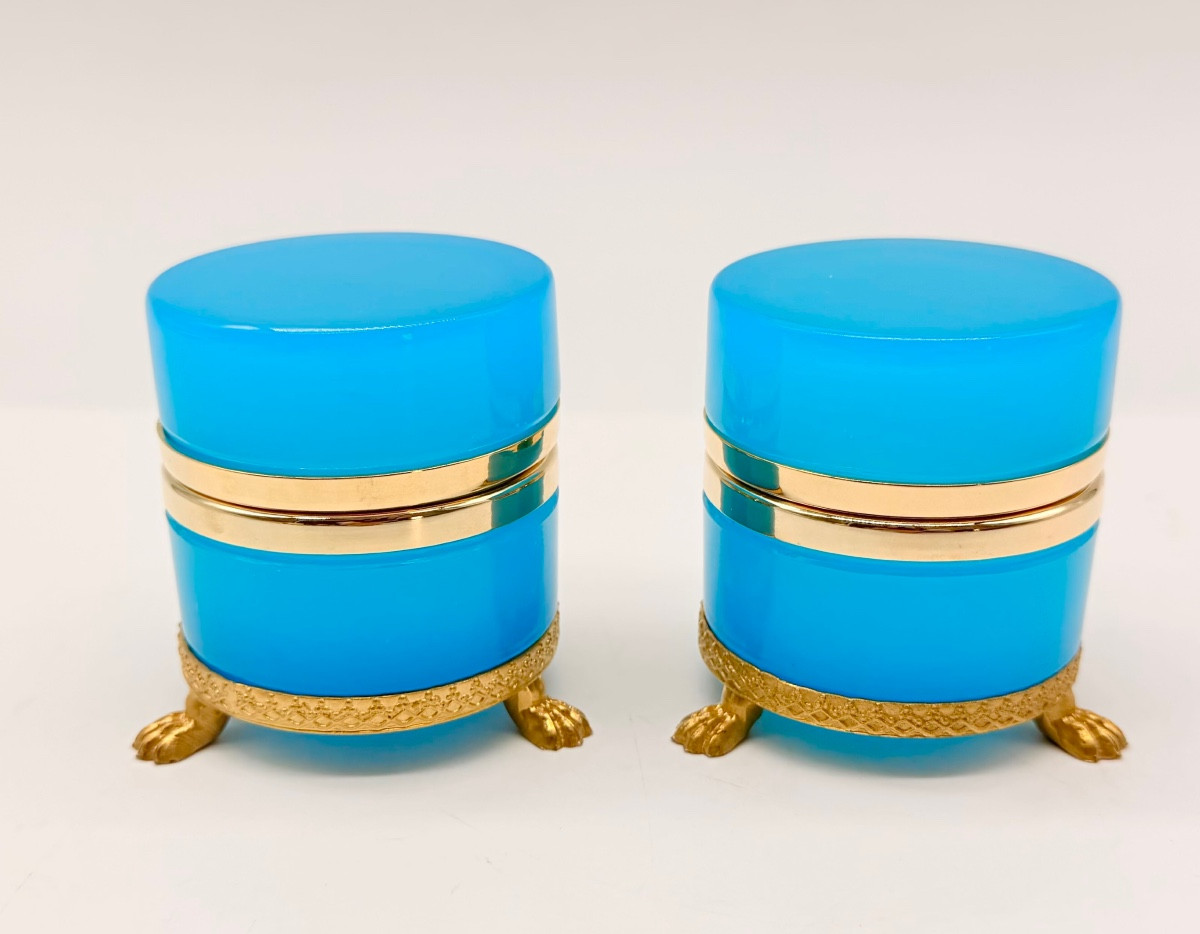 Coppia di scatole rotonde in vetro opalino francese poggianti su piedini a forma di leoni