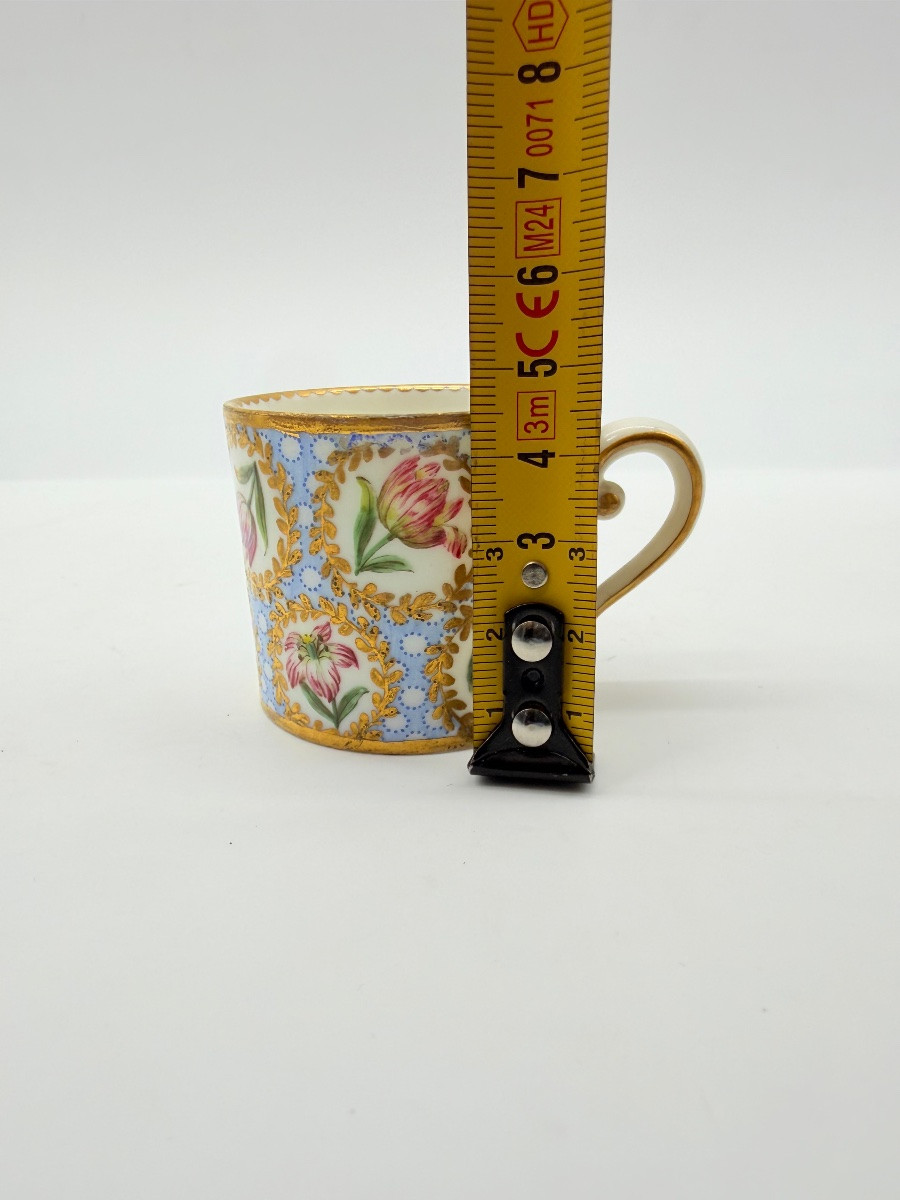 Porcellana di Sèvres Tazza e piattino con decorazione policroma a tulipani, XVIII secolo-photo-1