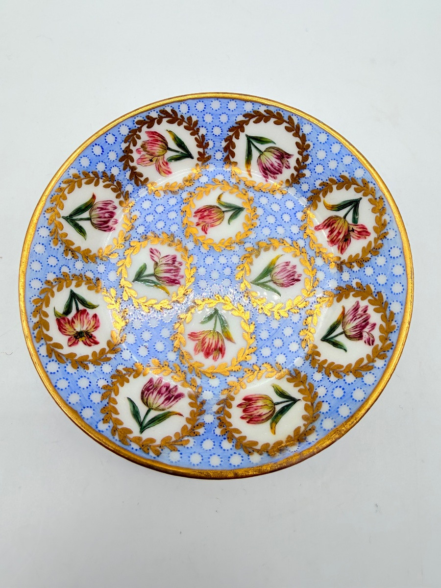 Porcellana di Sèvres Tazza e piattino con decorazione policroma a tulipani, XVIII secolo-photo-7