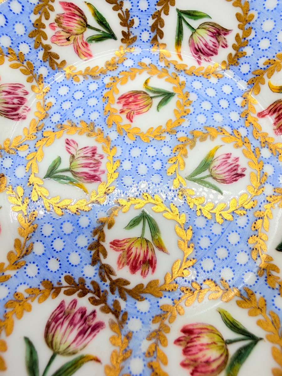 Porcellana di Sèvres Tazza e piattino con decorazione policroma a tulipani, XVIII secolo-photo-8
