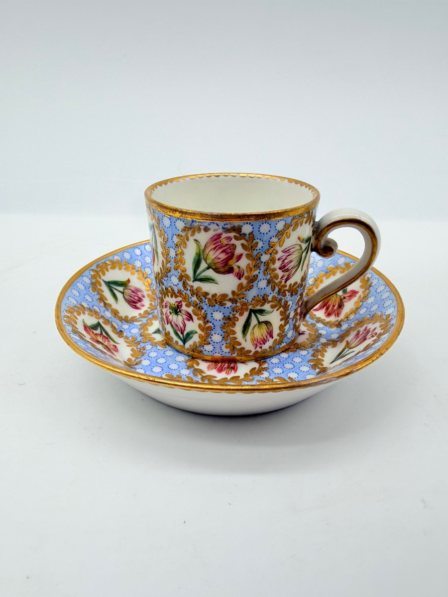 Porcellana di Sèvres Tazza e piattino con decorazione policroma a tulipani, XVIII secolo