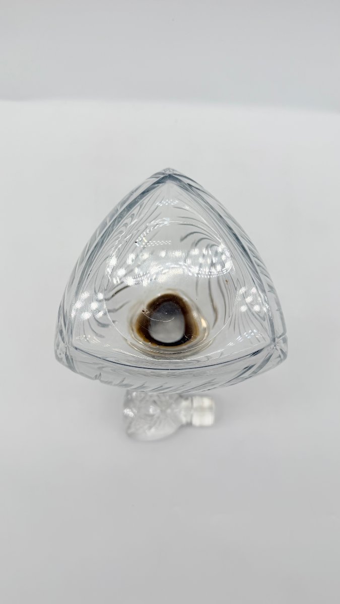 .-photo-4
