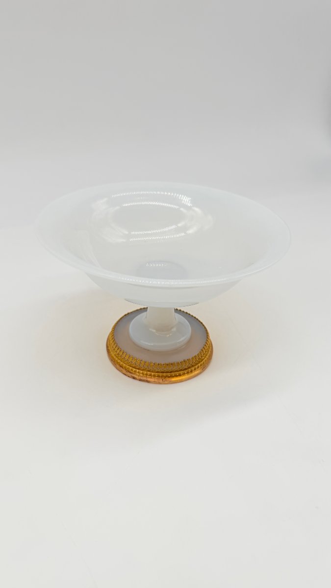 .-photo-4