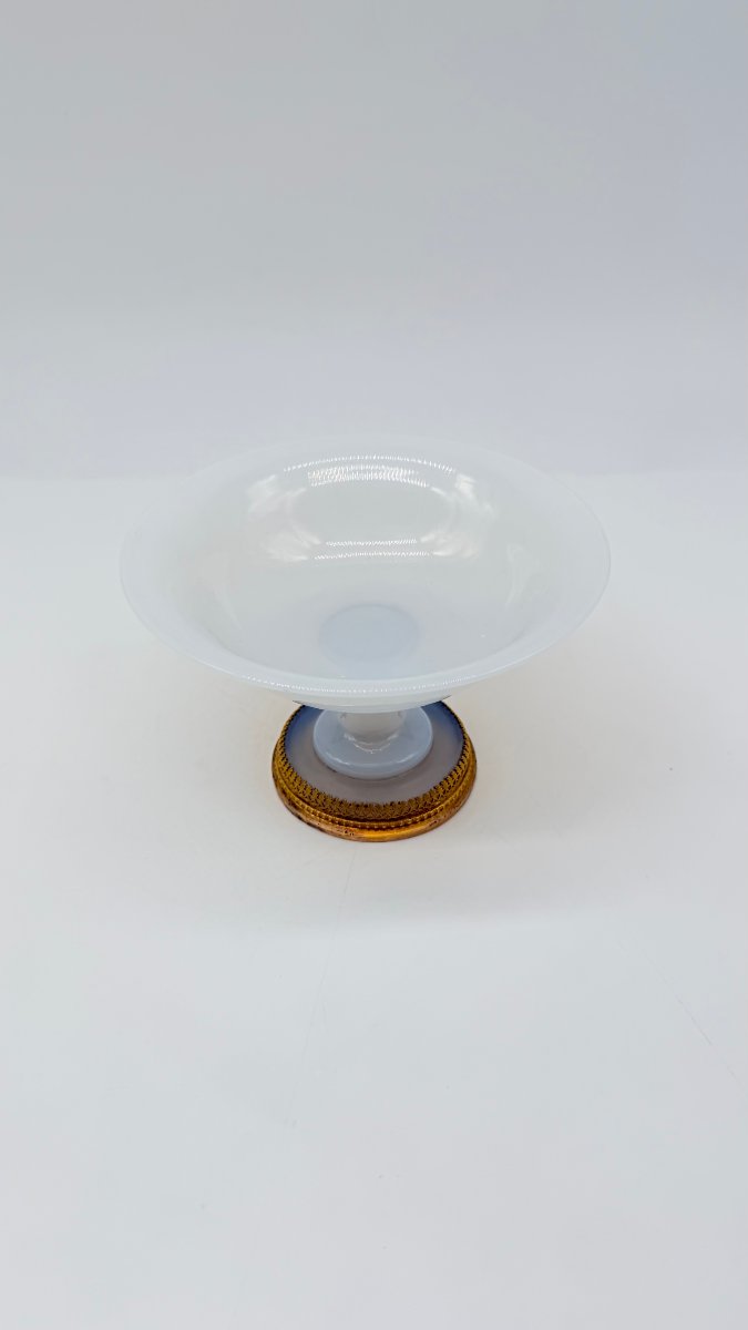 .-photo-2