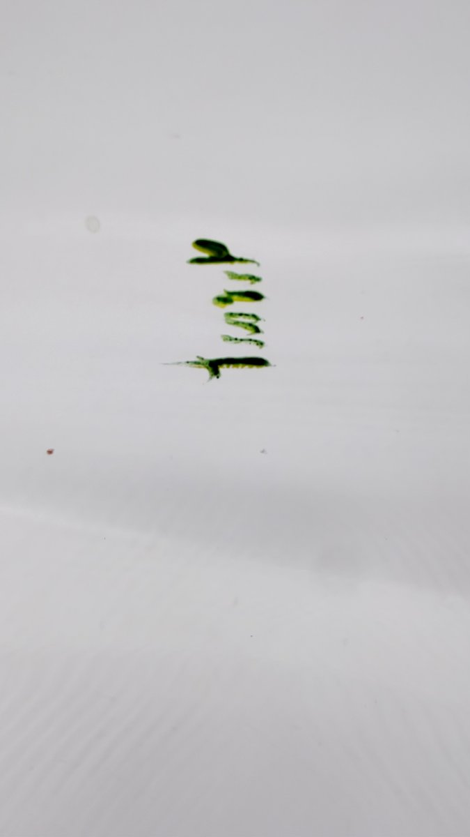 .-photo-6