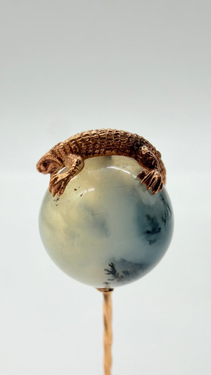 .-photo-3