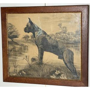 Dogue De Bordeaux Drawing