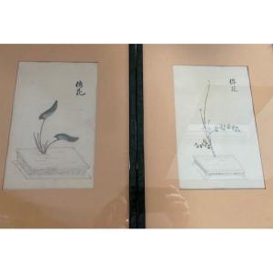 Japanese Still Lifes