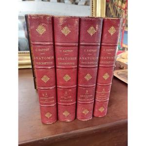Medicine Book Descriptive Anatomy Treaty Sappey In 4 Volumes
