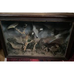 Diorama 19th Century 