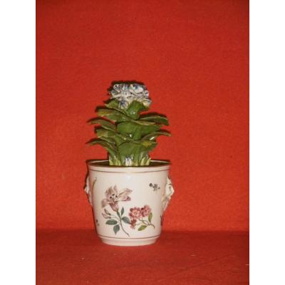 Porcelain Trompe-l'oeil