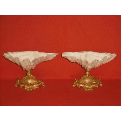 Pair Of Bronze Mounted Shells