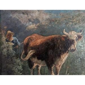 The Charming Cow And Her Man...