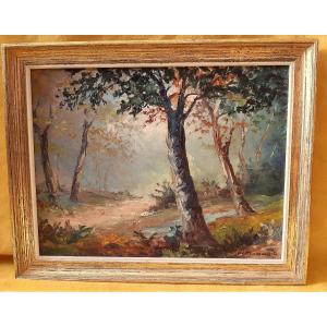 Undergrowth Stream French Provencal School Oil On Canvas André Abougit (xxth)