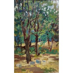 Park Or Under Wood Of Maurice Montet (1905-1997) Autodidact "fauve Unknown" Cezanne, Monnet...