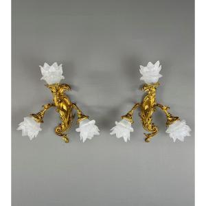 Pair Of Rococo Style Gilt Bronze Wall Sconces, Late 19th Century