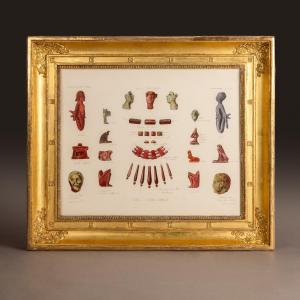 Anticomanie - Engraved And Gouache Plate From The Julien Gréau Collection - Edition 90