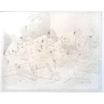 Drawing Of Dogs Executed By The Duke Philippe d'Orléans