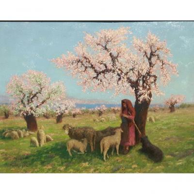 Théo Mayan (1860-1936), Les Amandiers En Fleurs.