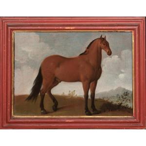 Portrait Of A Horse, Favorite Of King Louis XIV, 17th Century French School 