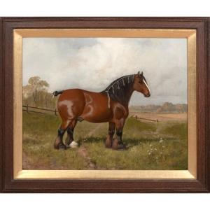 Portrait Of A Prize-winning Shire, 19th Century William Albert Clark (1860-1843)