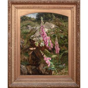 Still Life With Foxgloves And Ferns, 19th Century By Martha Darley Mutrie (1824-1885)