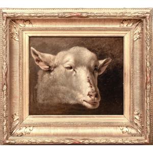 Study Of A Lamb's / Sheep's Head, 19th Century Attributed To Rosa Bonheur (1822-1899)  
