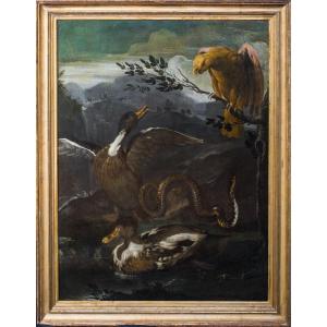 Parrot, Snake, Lizard And Ducks, 17th Century - Otto Marseus Van Schrieck (1619-1678)