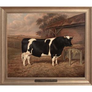 Portrait Of The "felhampton Candidate", A Prize-winning Friesian Bull At The 1922 Smithfield Competition 