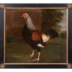 Portrait Of Rooster With Trimmed Feathers, 18th Century Circle Of John Nost Sartorius (1759-1830)