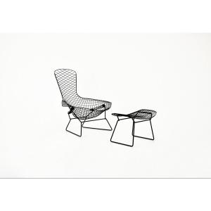 Bird Chair And Ottoman By Harry Bertoia For Knoll, 1960s