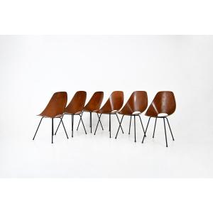 Set Of 6 “medea” Chairs By Vittorio Nobili For Frattelli Tagliabue, 1950s