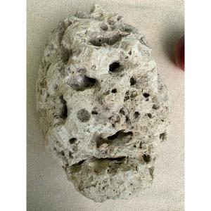 Atoni Ancestor Mask In Fossil Coral, East Timor, Indonesia