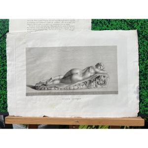  Engraving On Vellum, Ancient Hermaphrodite, Florence Gallery