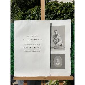 Engraving On Vellum, Crouching Venus – Young Hercules – Hercules The Victor