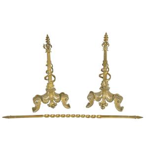 Pair Of Gilt Bronze Andirons Decorated With Snakes And A Matching Bar