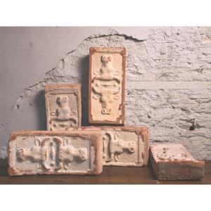 45 Concave Terracotta Stable Bricks (alsace) Forming The Vault Of The Building