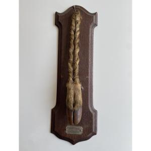19 Th Deer Leg Hunting Trophy