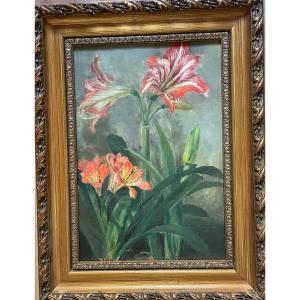 The Amaryllis / 1930