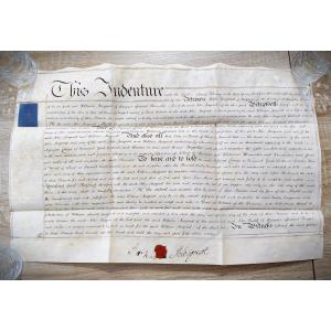 Antique English Vellum Indenture Hand Written Document, Sale Of Land