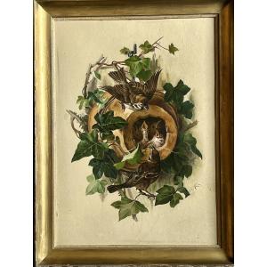 Sparrow Nest - Signed J.hess 1891