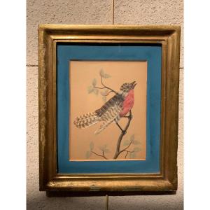 Under Gouache Bird Glass