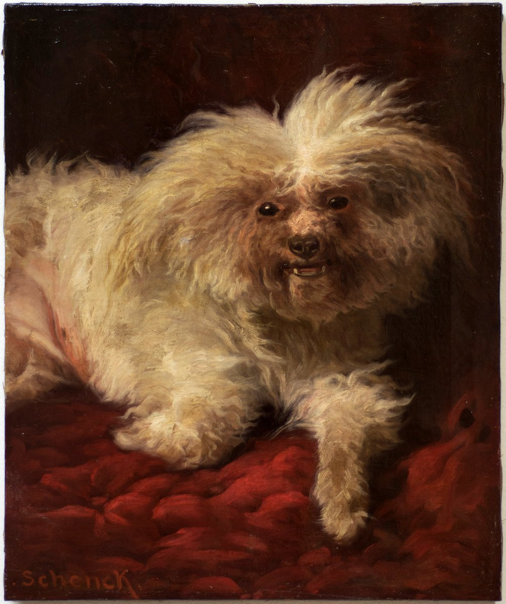 August Friedrich Albrecht Schenck (1821-1900). Rtratto di cane maltese.-photo-2